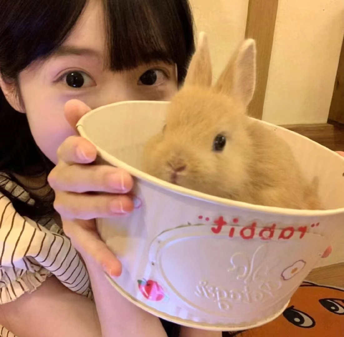美女头像真人头像可爱_美女头像甜美