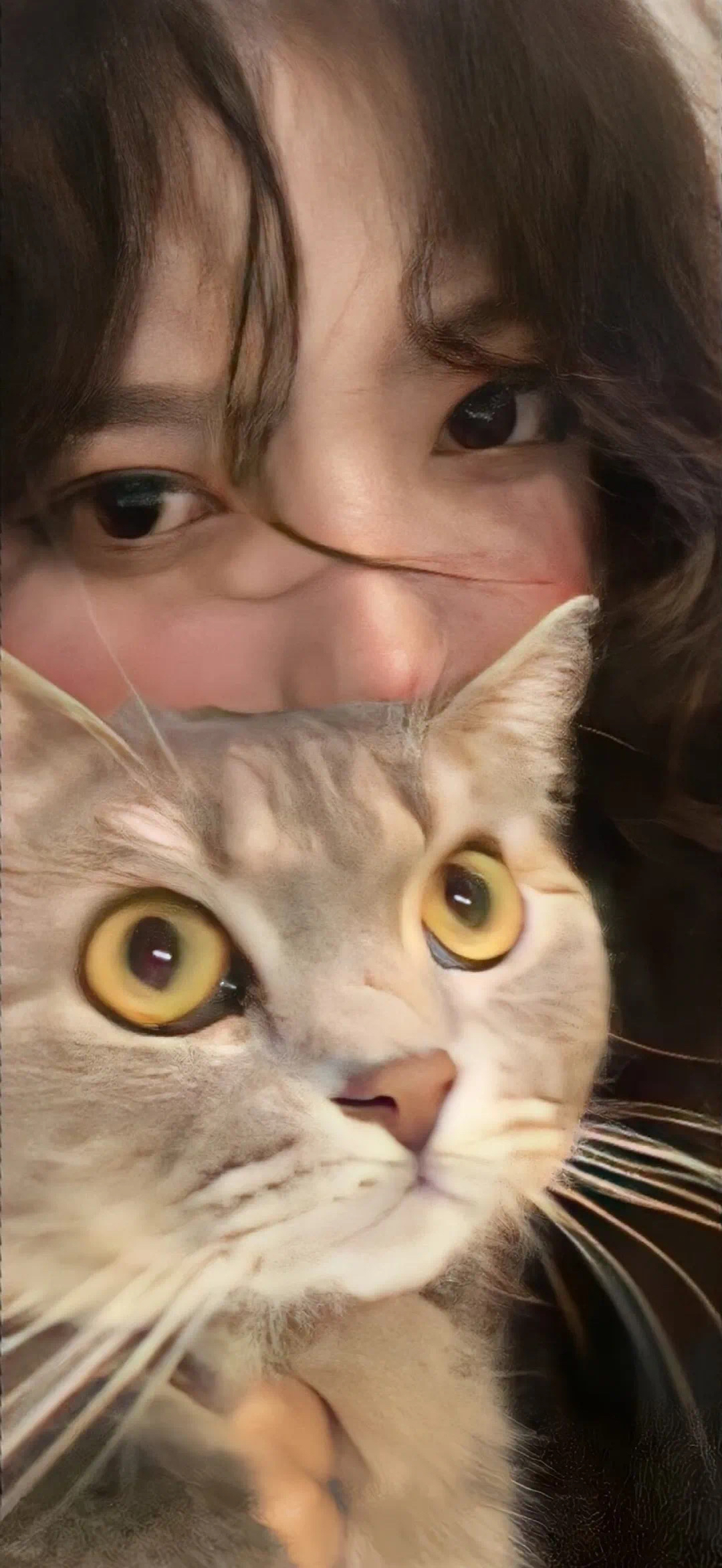 美女壁纸风景_美女自拍