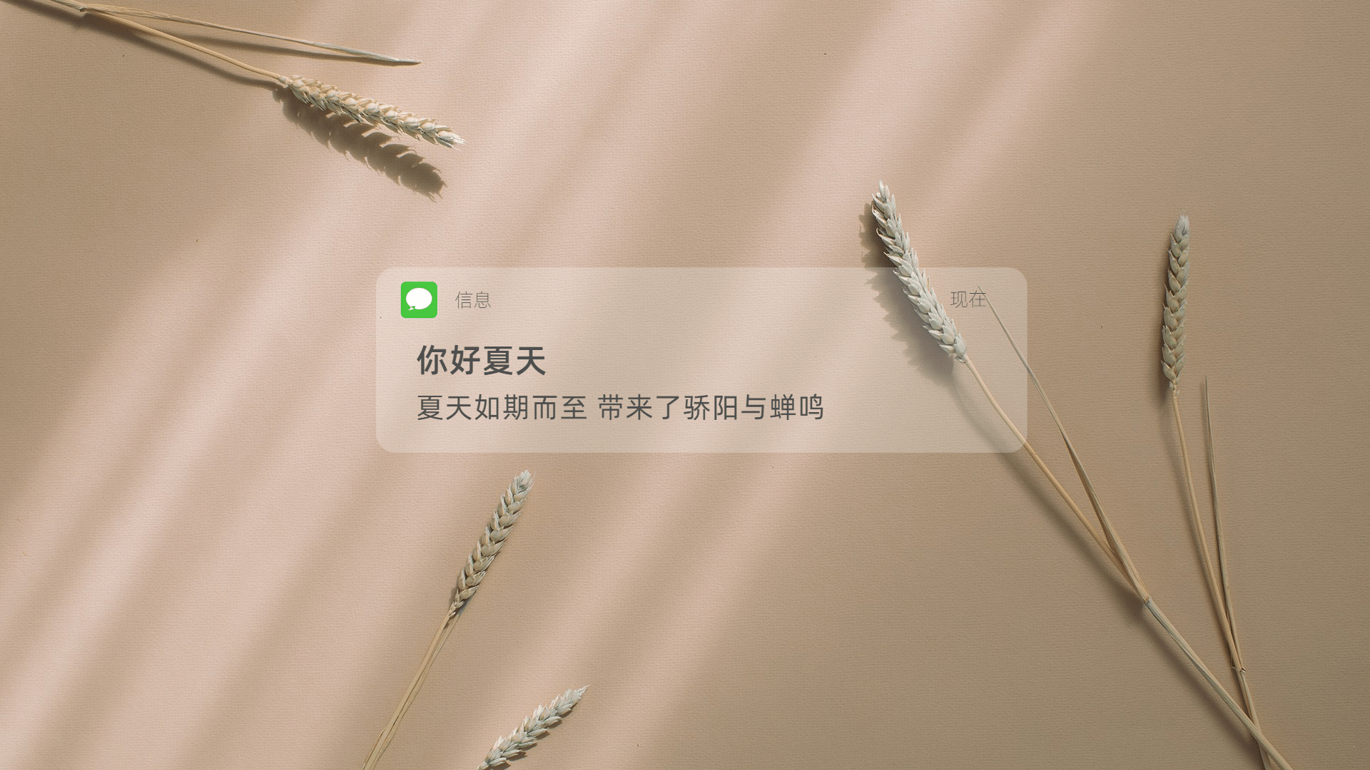 手绘可爱风景电脑壁纸_美女头像甜美