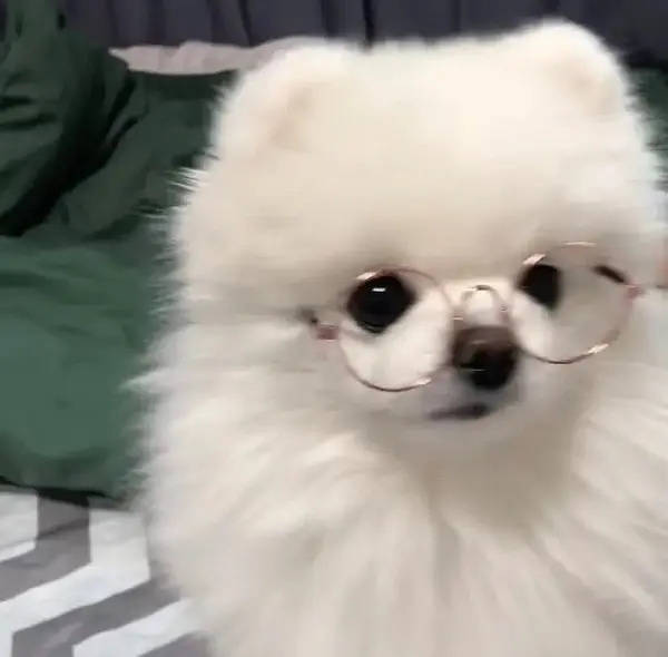 美女壁纸女_美女壁纸手机壁纸