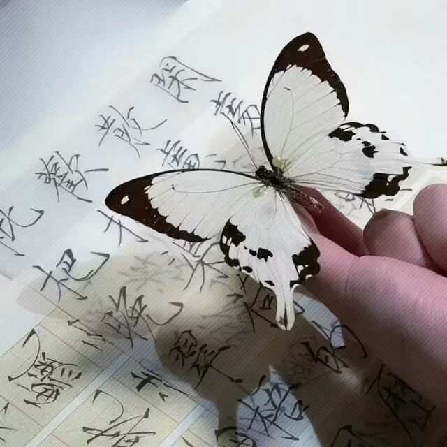 美女自拍_美女头像高冷