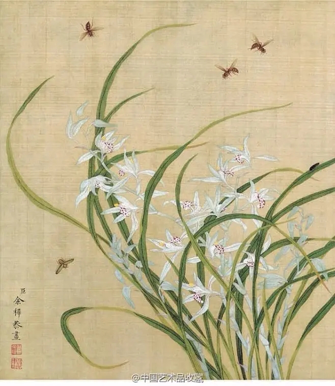 美女照片游泳壁纸_美女图片微信头像侧面
