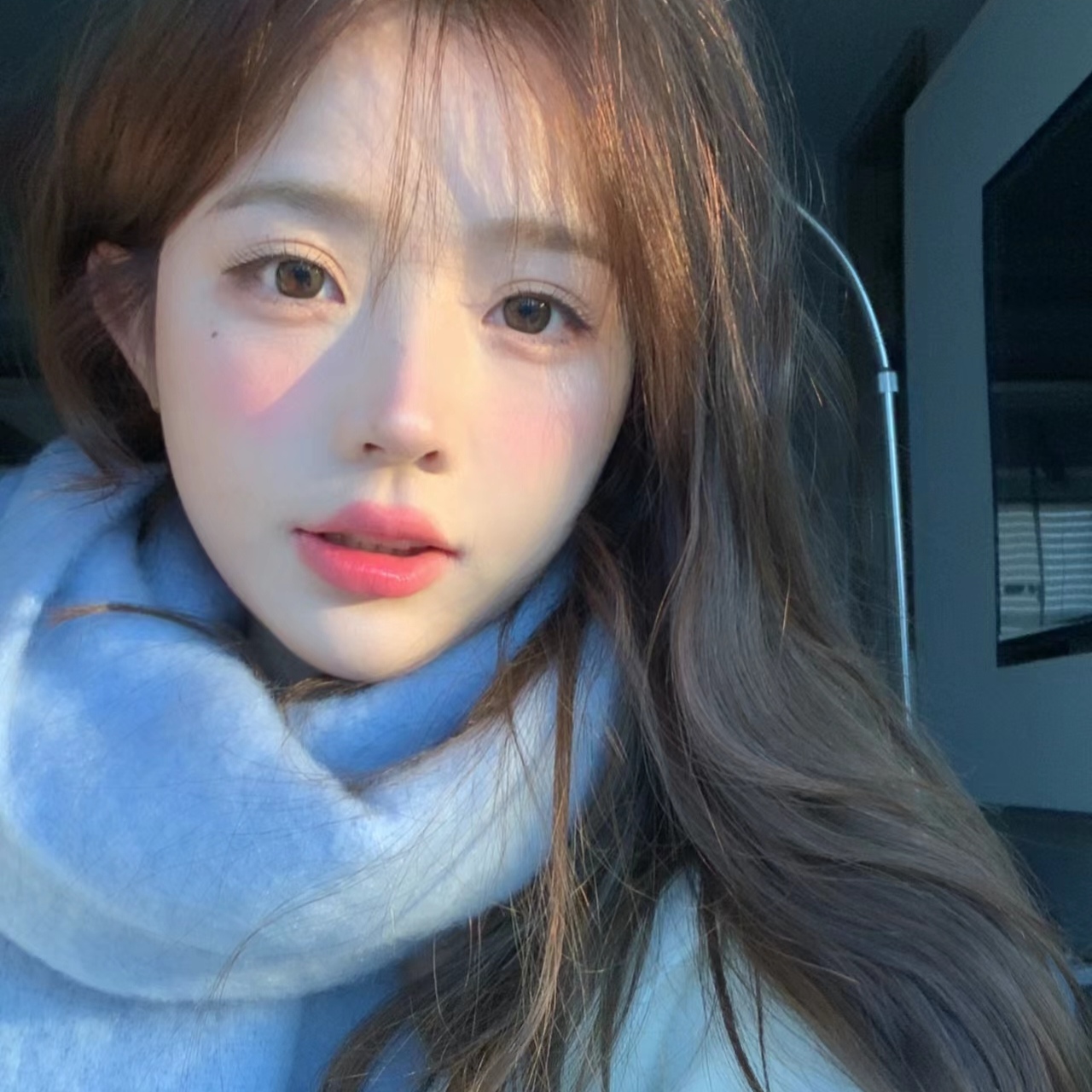 网红模特站在花海里摆姿势_美女壁纸全屏