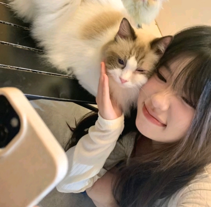 不忠美女高雅造型